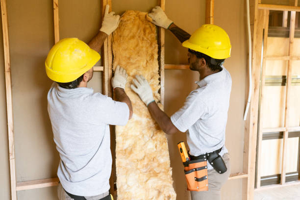 Best Blown-in Insulation  in Hotchkiss, CO